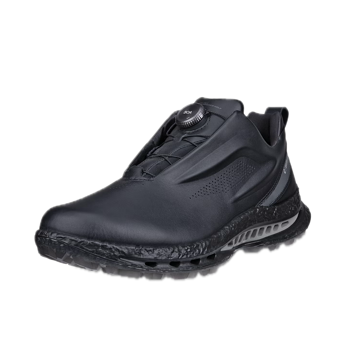ECCO Chaussures BIOM C5 BOA Goretex Noir - GolfCenter.fr