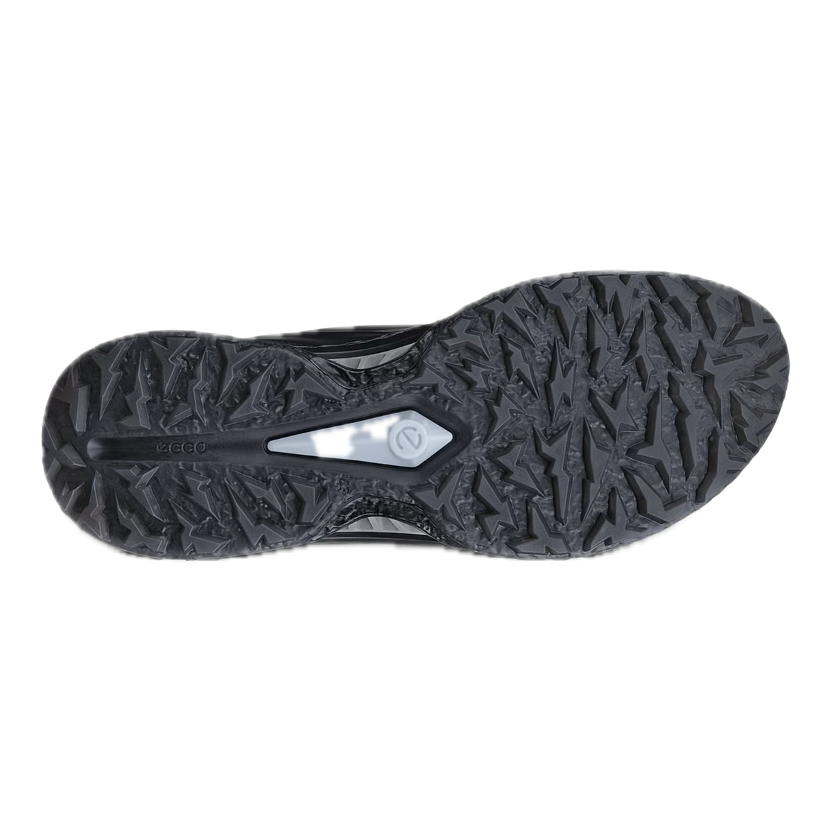 ECCO Chaussures BIOM C5 BOA Goretex Noir - GolfCenter.fr